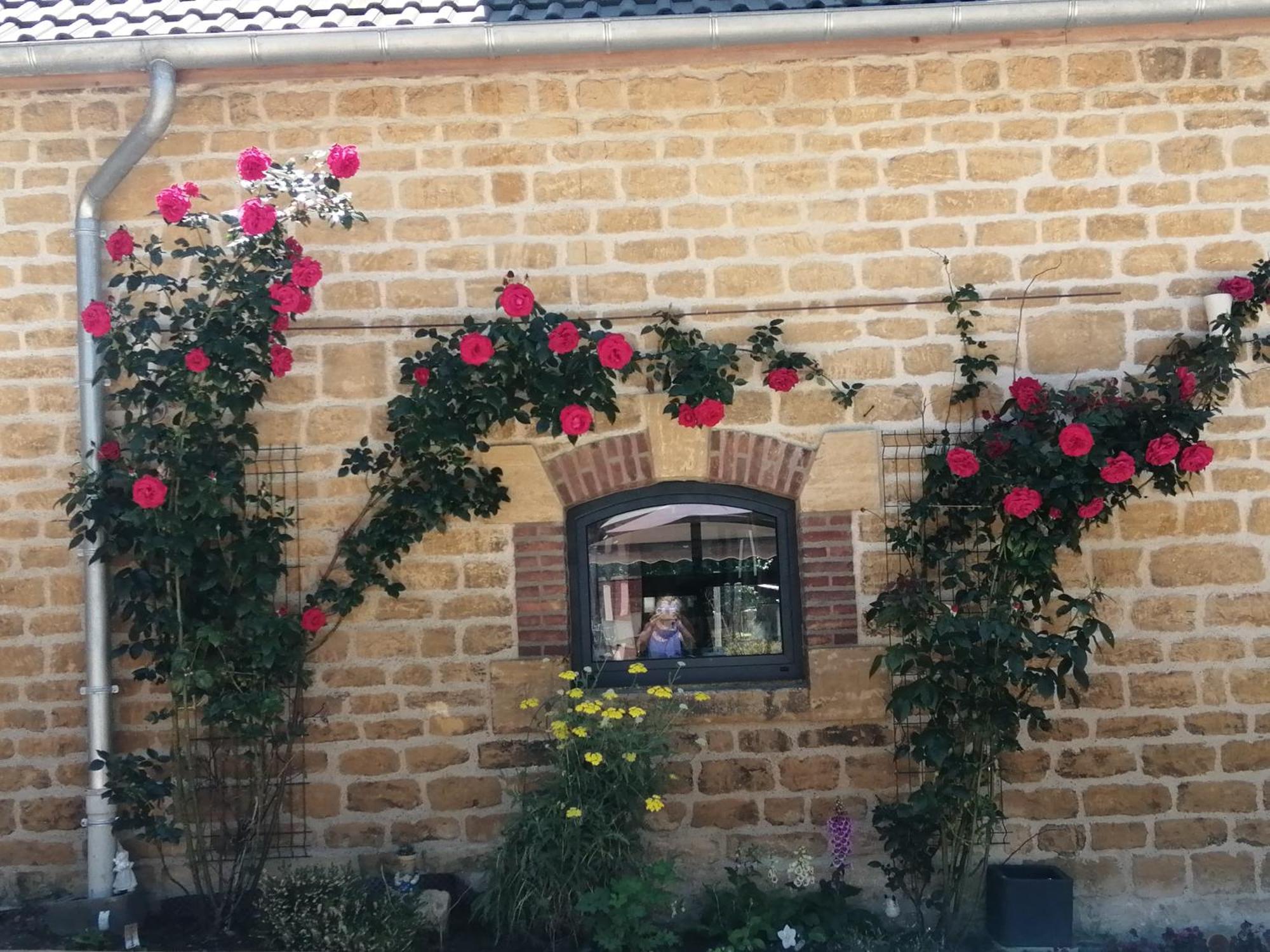 Villa O Jardin De Boutancourt Exterior foto