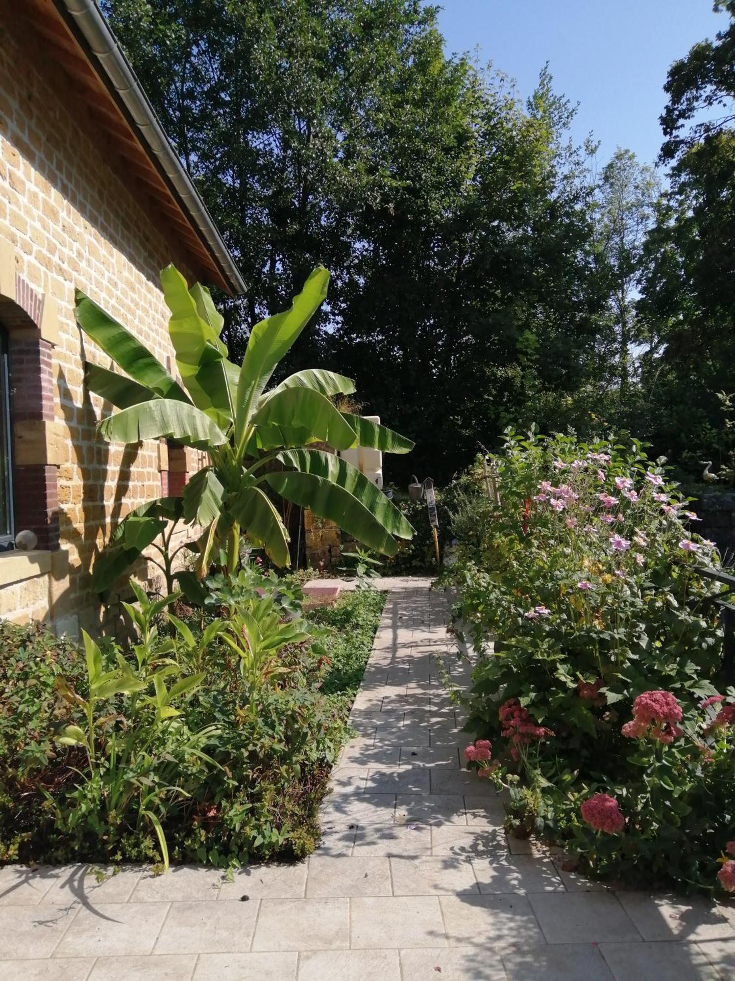 Villa O Jardin De Boutancourt Exterior foto